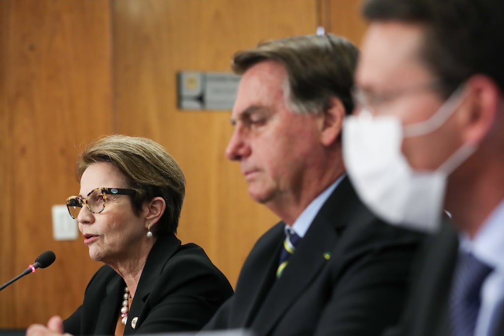 Tereza Cristina entra nas especulações para vice de Bolsonaro