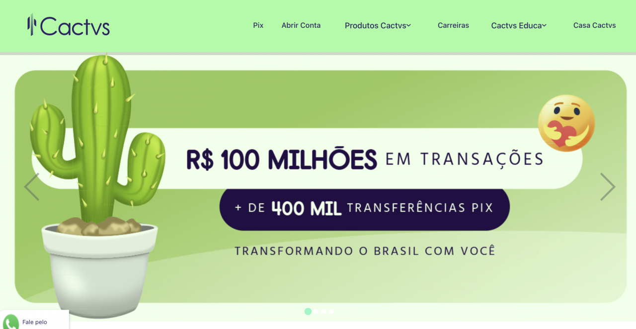 O amadorismo da fraude do Cactvs com a Elo