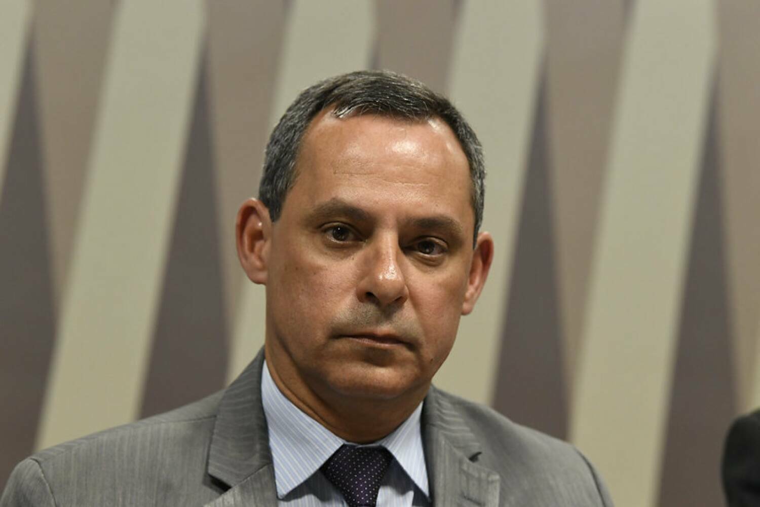 Coelho sai da toca