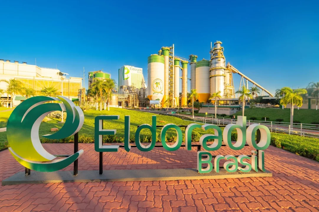 Sem papel de decisão