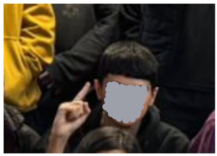 O terrorista de Bauru
